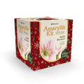 Degroot AY912A00 Amaryllis Flower Gift Box Bulb Kit