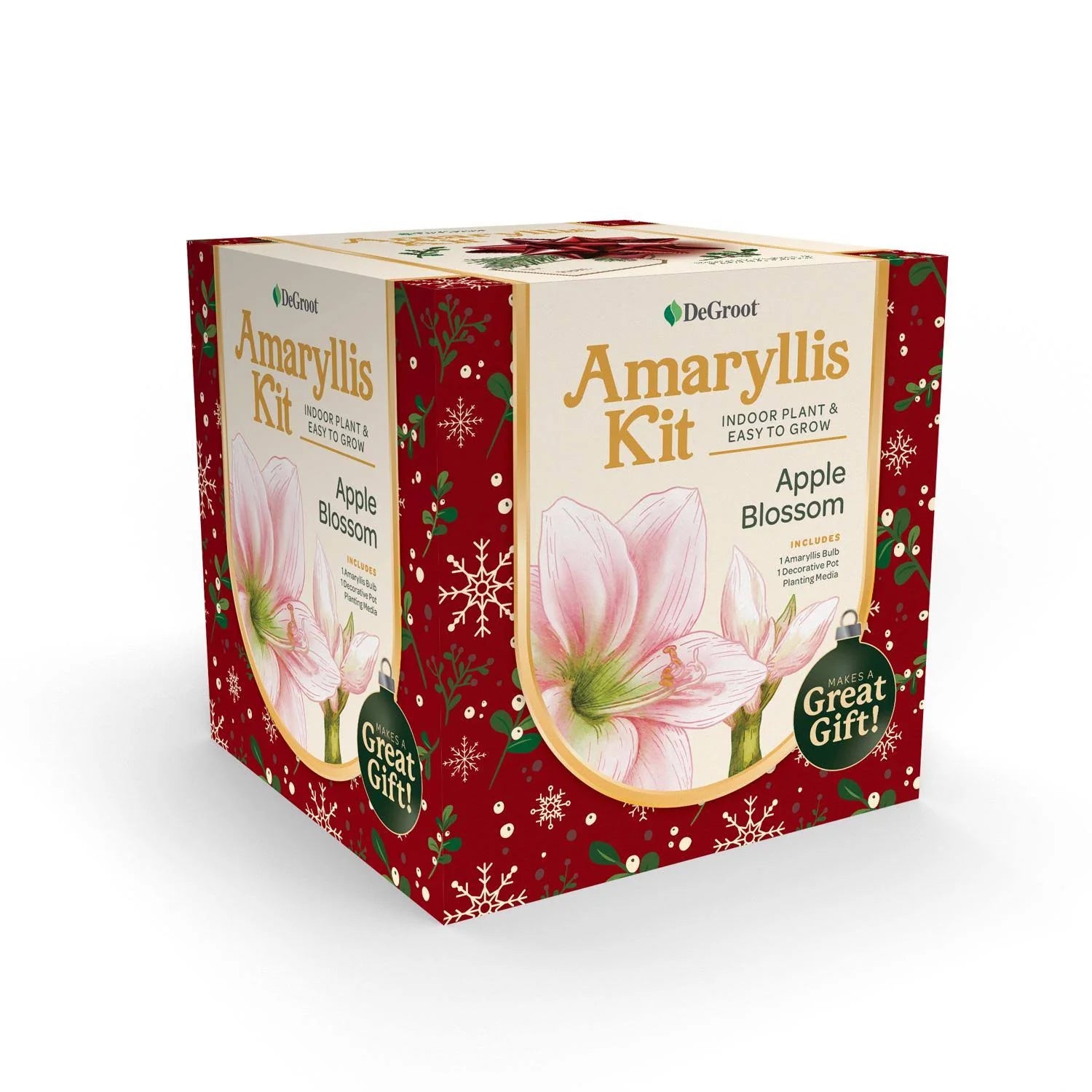 Degroot AY912A00 Amaryllis Flower Gift Box Bulb Kit