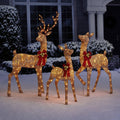 Member's Mark 3 Piece Pre-Lit Twinkling Woodland Deer Family