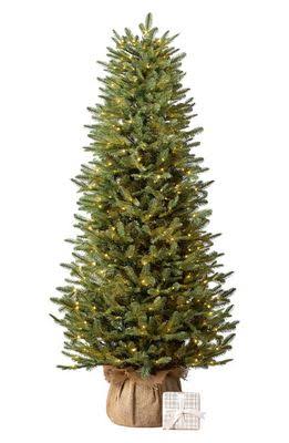 Balsam Hill Balsam Fir 3.5-Foot Pre-Lit Artificial Tree with Burlap Base in Green