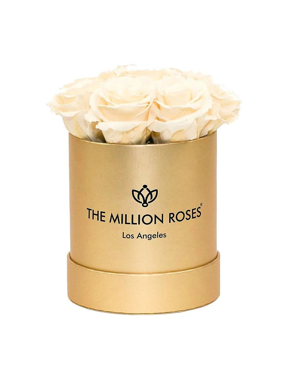 The Million Roses Basic Box - Ivory
