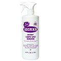 Folex Carpet Spot Remover, Instant - 32 fl oz