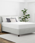 Allerease Mattress Protector, Zippered, Maximum, Queen