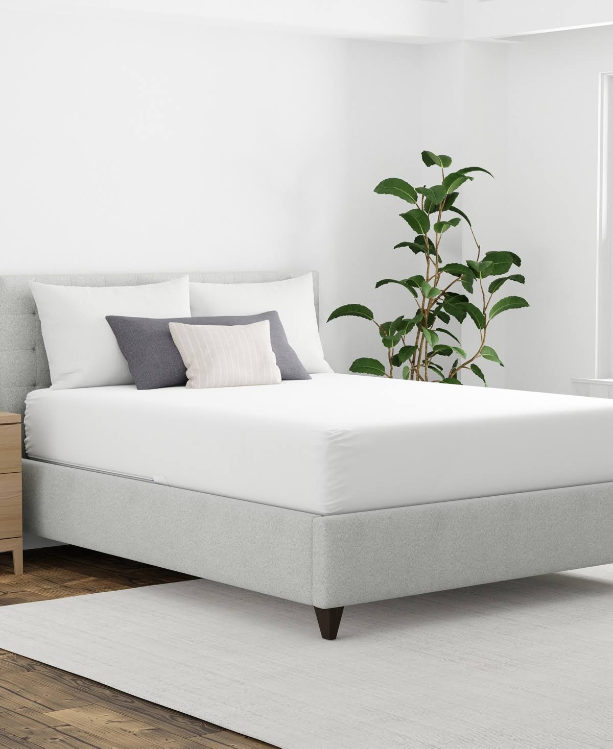Allerease Mattress Protector, Zippered, Maximum, Queen