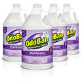 OdoBan Odor Eliminator and Disinfectant Concentrate - Lavender - 4pk