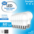 Great Value LED Light Bulbs, 60 Watts Eqv, Daylight, A19 General Purpose Light Bulbs, 5YR, 12pk, White 93131088