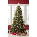 Beachcrest Home Green Spruce Artificial Christmas Tree with Clear/White Lights