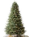 Balsam Hill Balsam Fir 6.5-Foot Pre-Lit Artificial Tree in Green